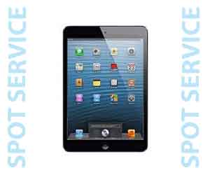 iPad Mini Service